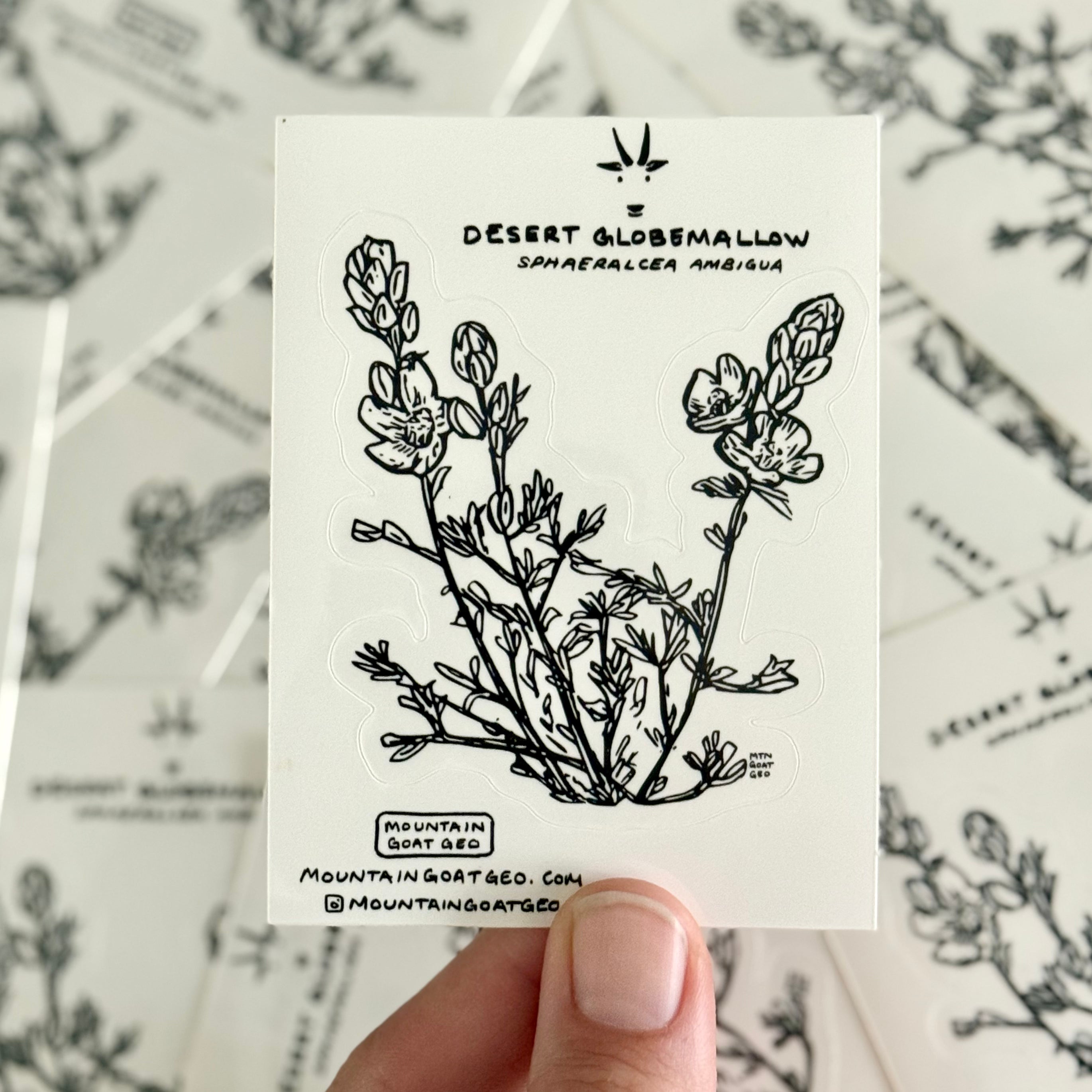 Desert Globemallow Sticker