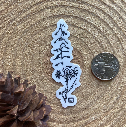 Fireweed