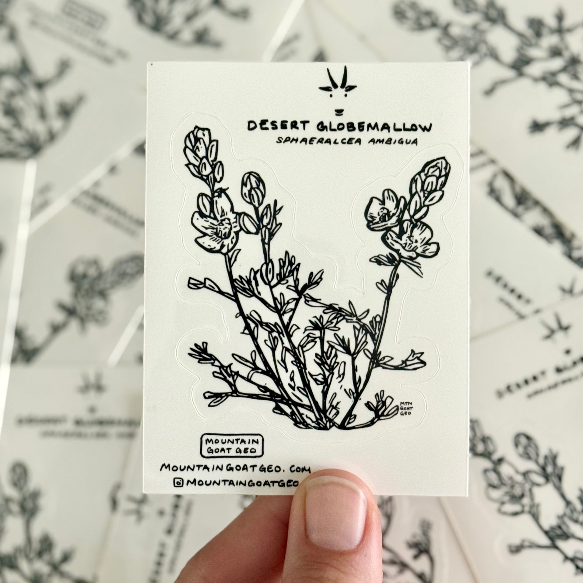 Desert Globemallow Sticker