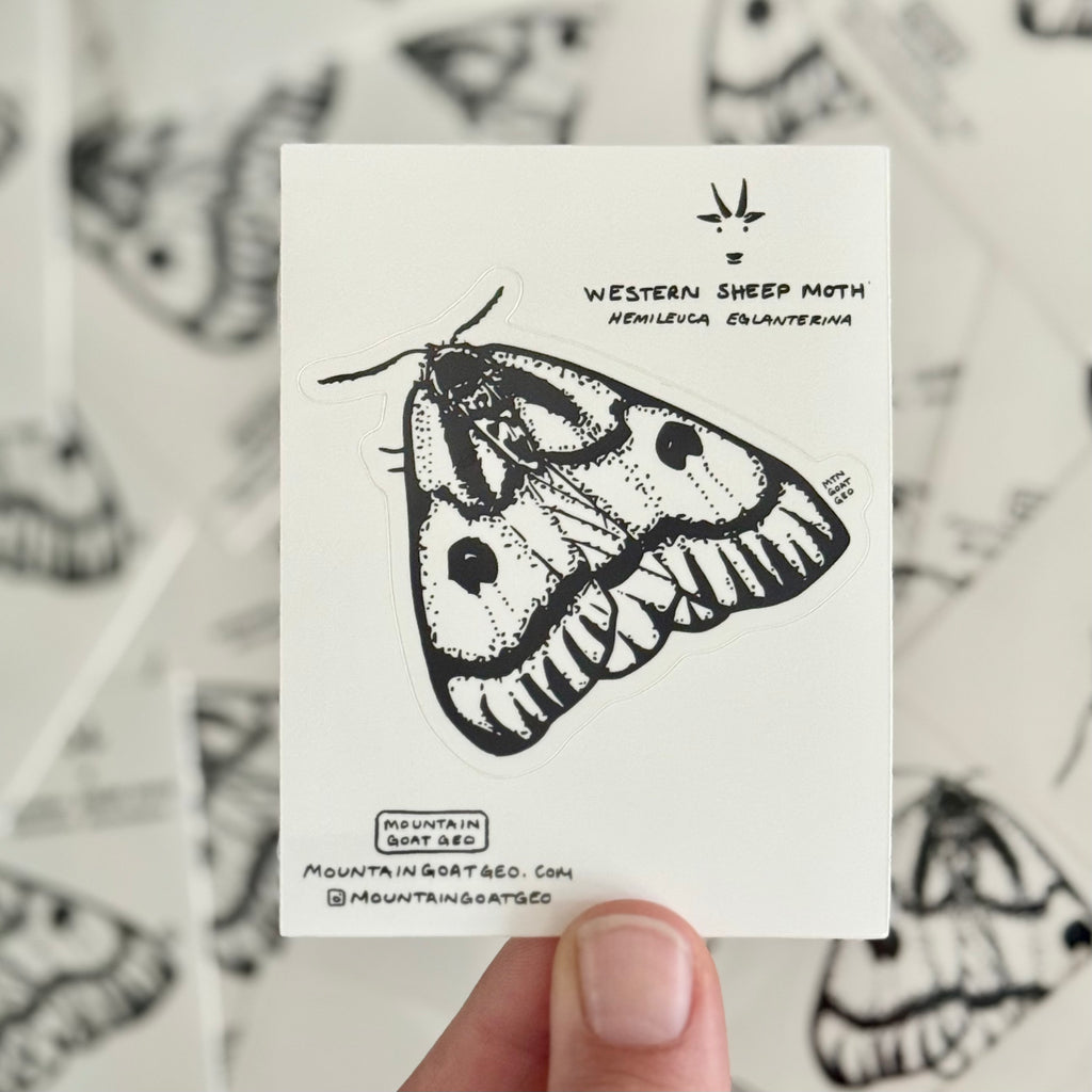 Western Sheep Moth Sticker