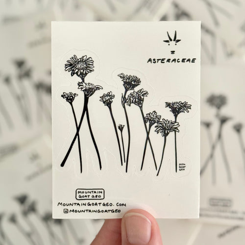 Asteraceae Sticker