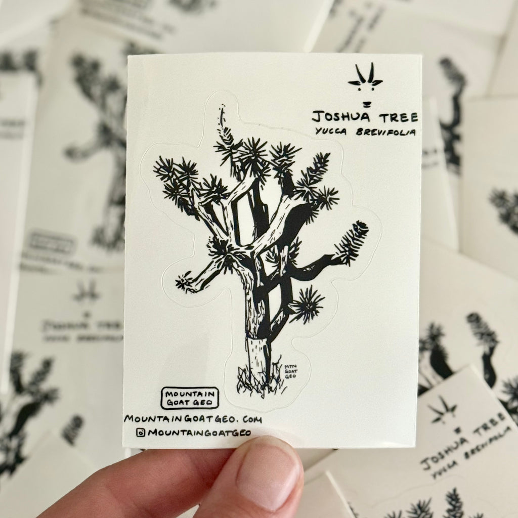 Joshua Tree Sticker