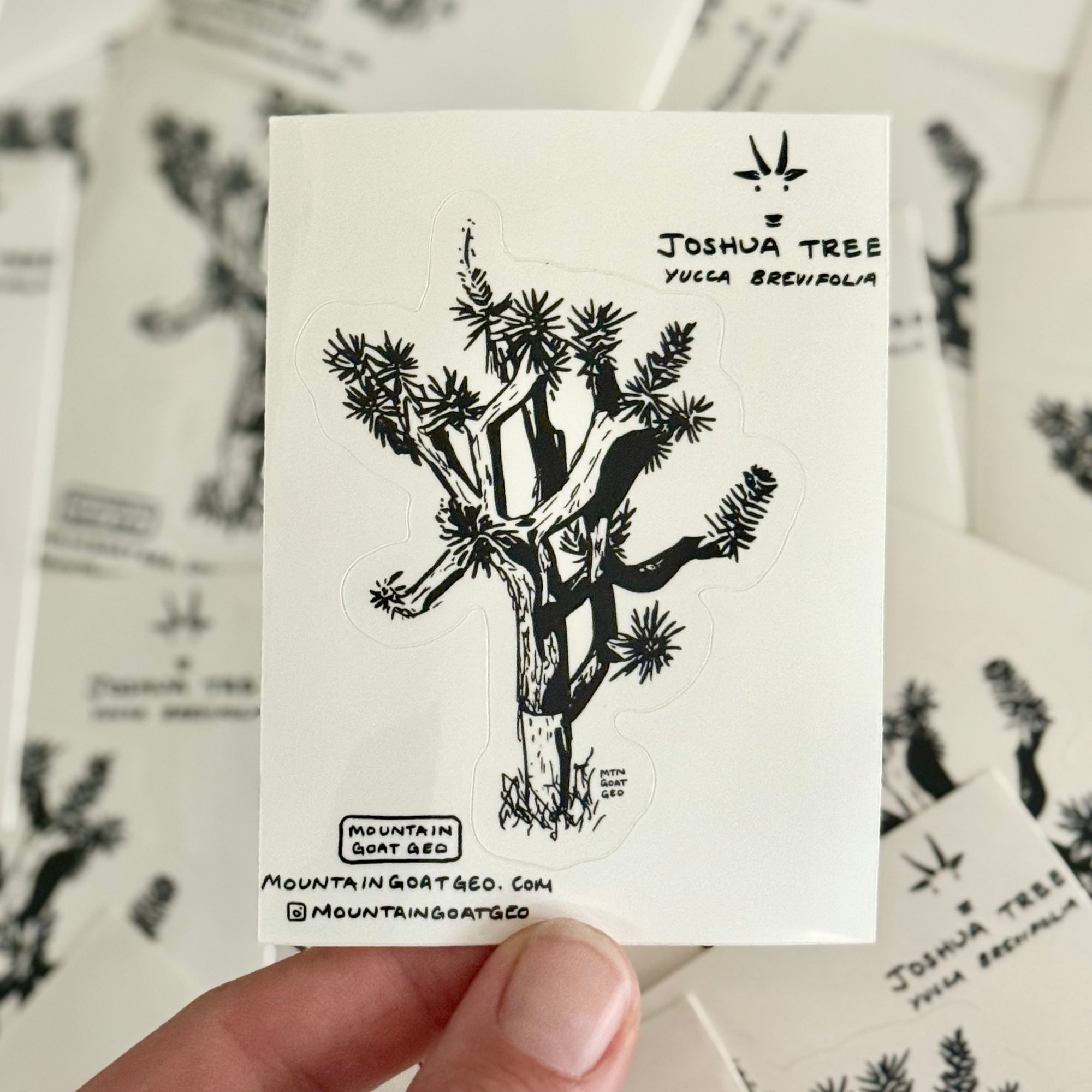 Joshua Tree Sticker
