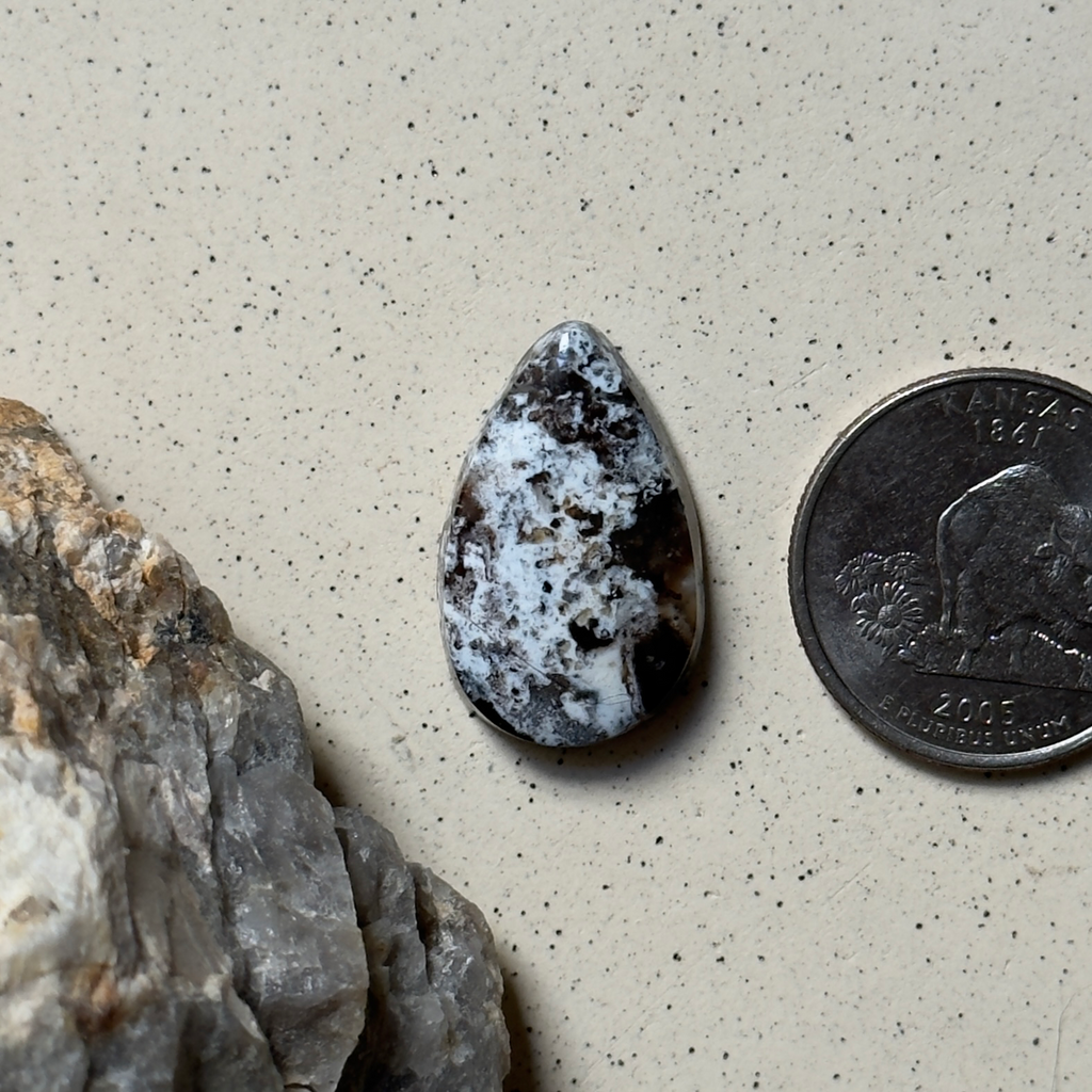 Sheep Spring Agate
