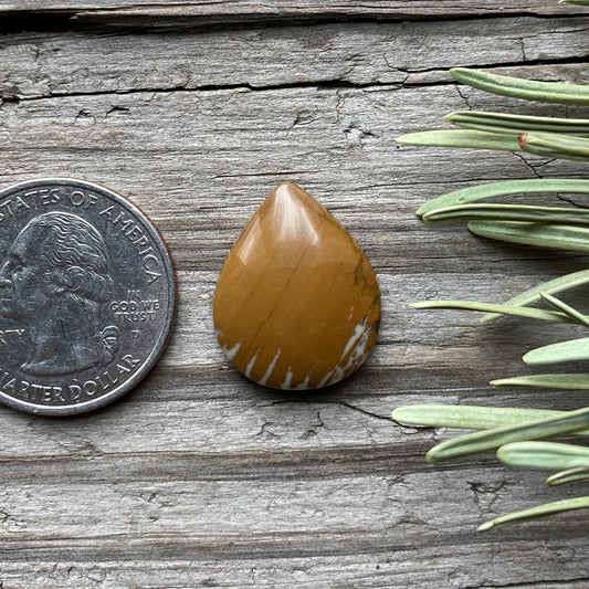 Owyhee Jasper