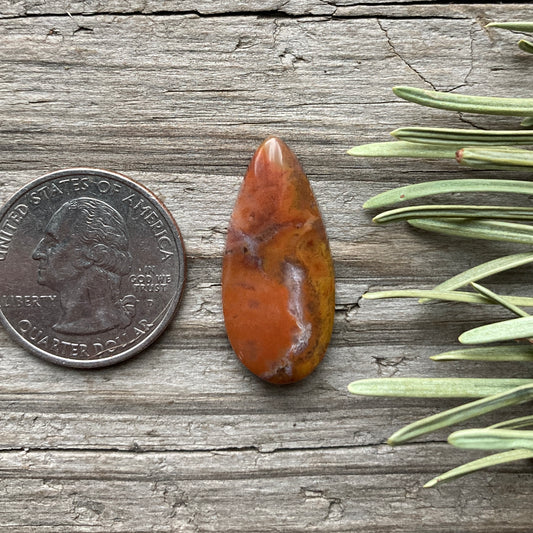 Pinto Hills Agate